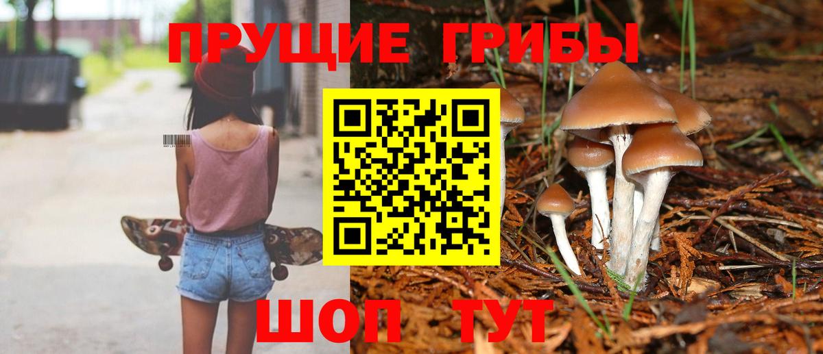 Галлюциногенные грибы Magic Shrooms  Вход с VPN  Назрань 